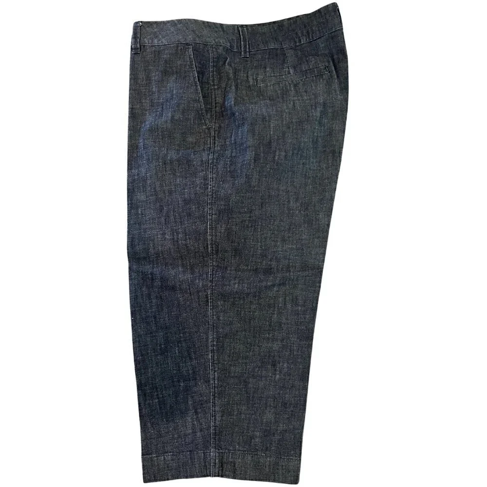 Coldwater Creek Crop Capri Dress Denim Pants, 20W - Picture 1 of 4